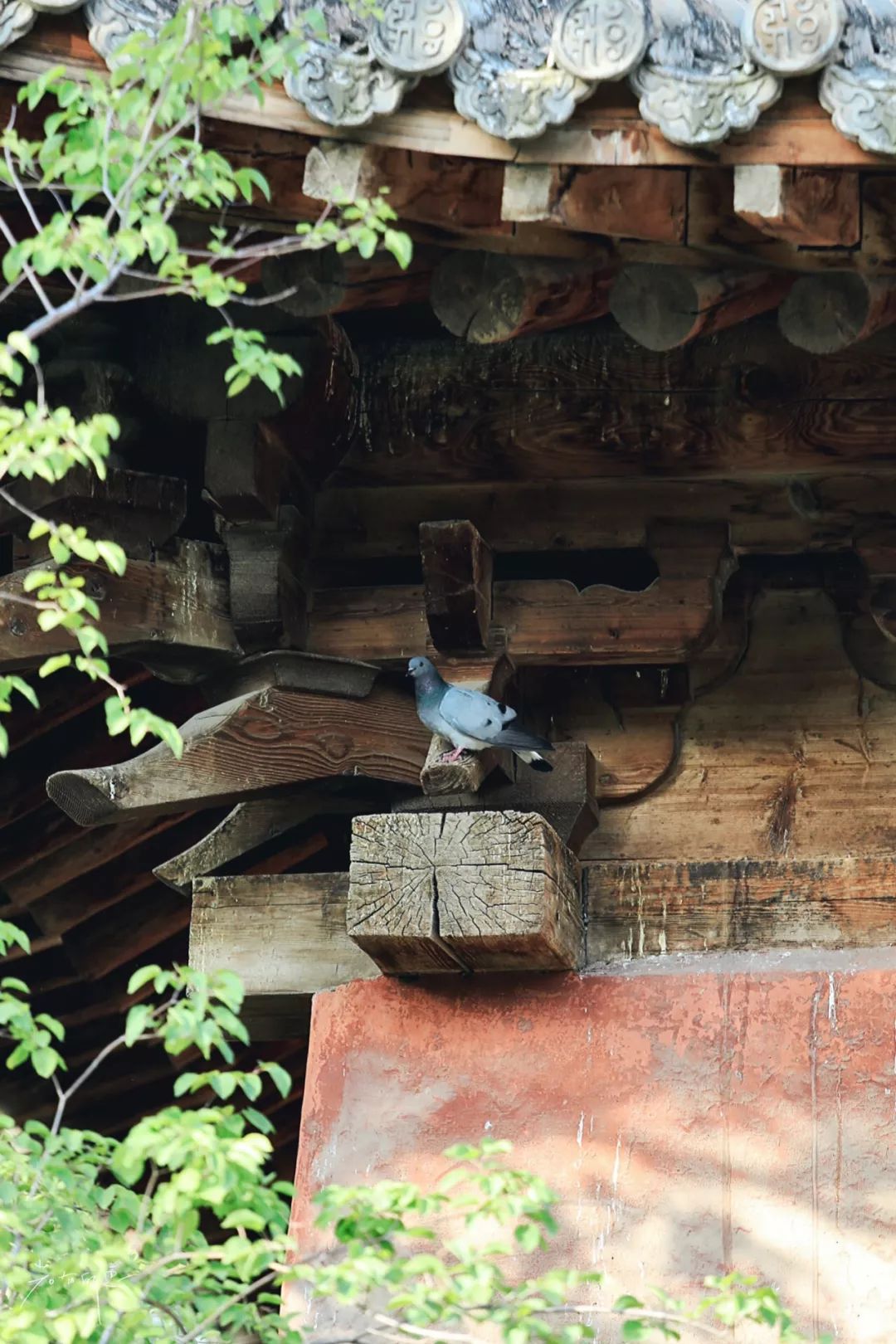 藏在深山里的故宫,青海最古老的藏传寺院