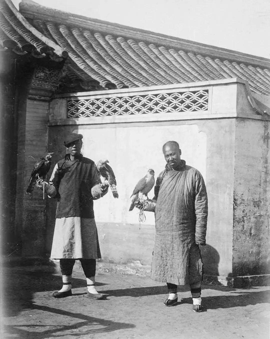 和珅是怎么从侍卫成为一品大员的,清朝大内侍卫和珅