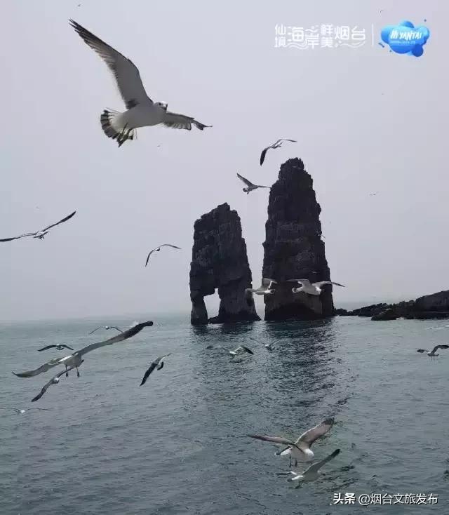 一个小时看见一片海，30分钟摆满一桌鲜