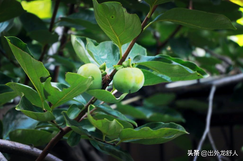 合肥商业街的现状,合肥成熟的商业街