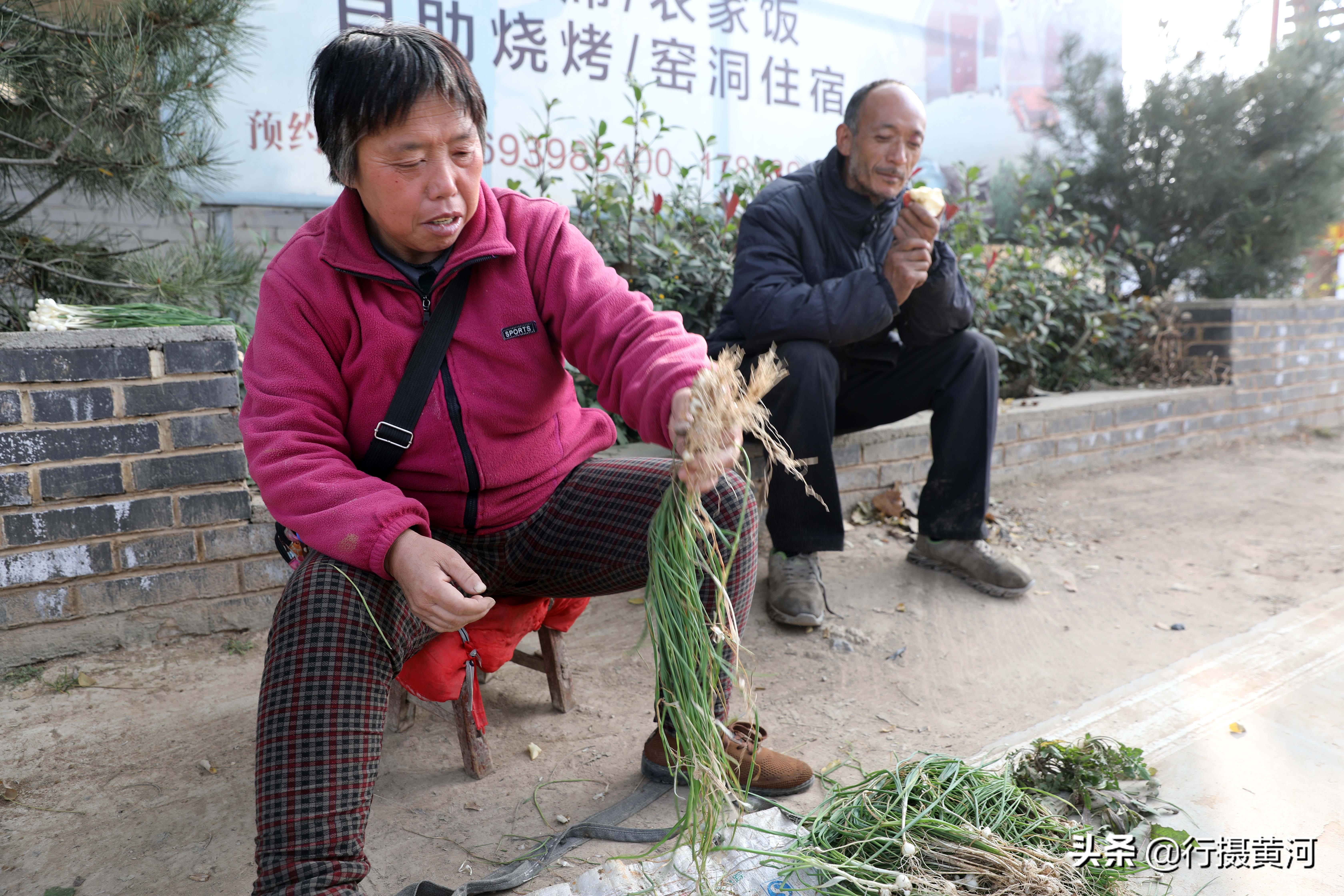 河南5旬大妈村口卖“野味”，干得还是无本生意，收入让她很意外
