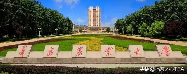 湖南农业大学茶学专业怎么样,广西有哪些高校开设茶学