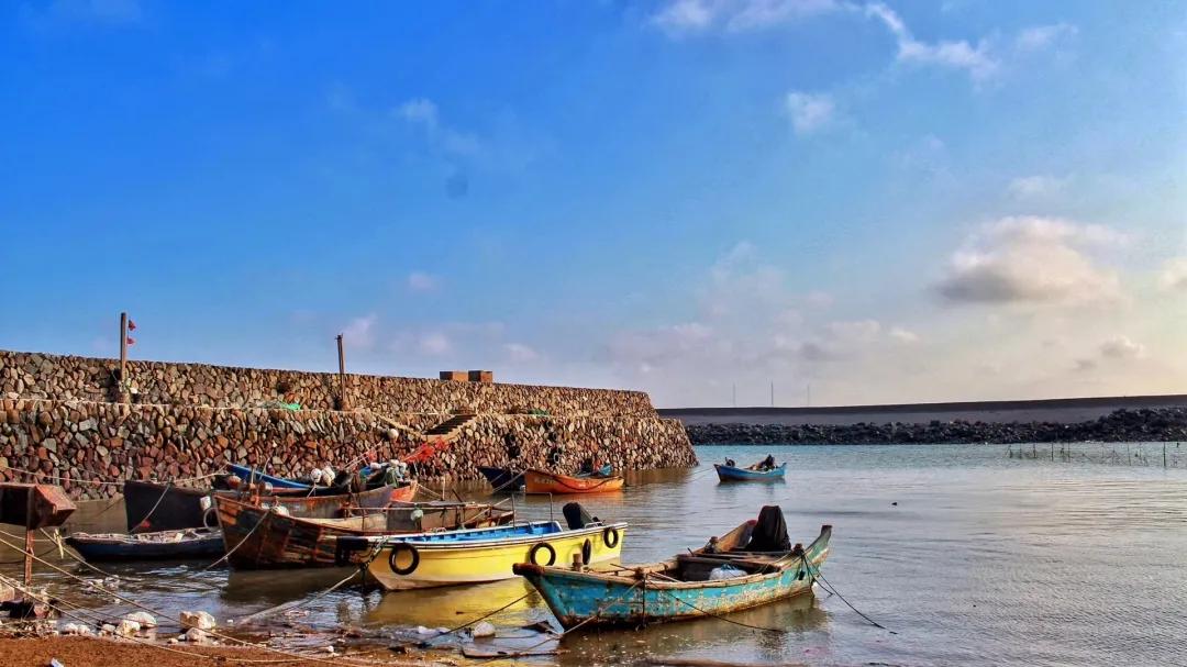 那群带着理想扎根生活的人，给北港带来了不一样的乡村温度