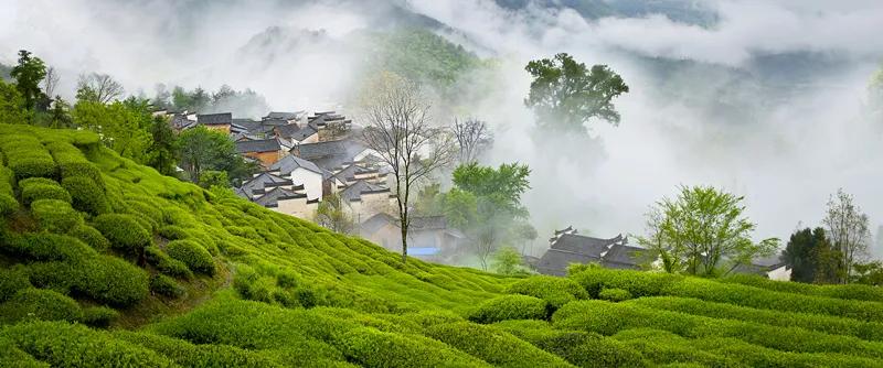 榛勫北鍑屼簯璁茶瘽瑙嗛,榛勫北甯傚涔﹁鍑屼簯