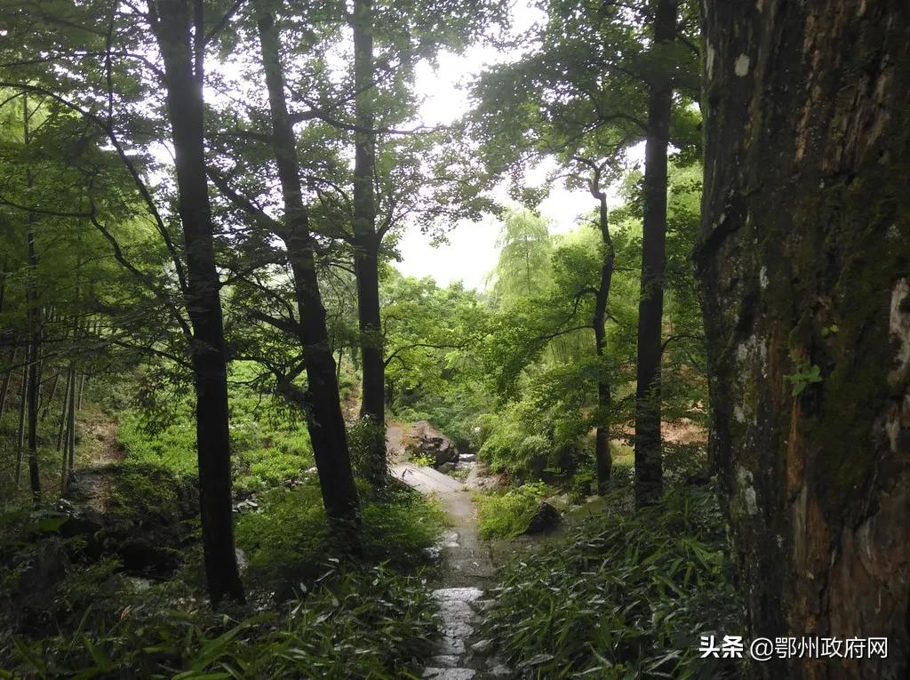 融媒小姐姐带你解锁“不一样的鄂州玩法”「世外桃源篇」