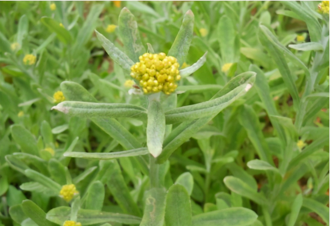 做一个有学问的吃货,做一个有文化的吃货