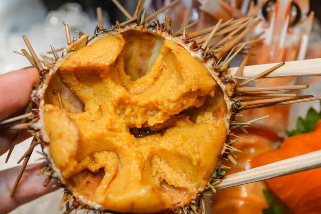 渔川禾日料周年庆｜折扣、礼品、免单，你想要的福利这里全都有