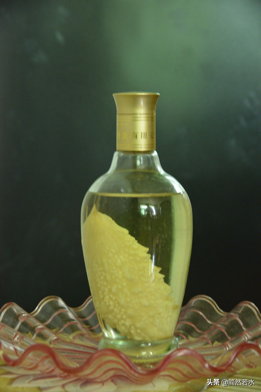 金铃子癞葡萄果实,金铃子酒