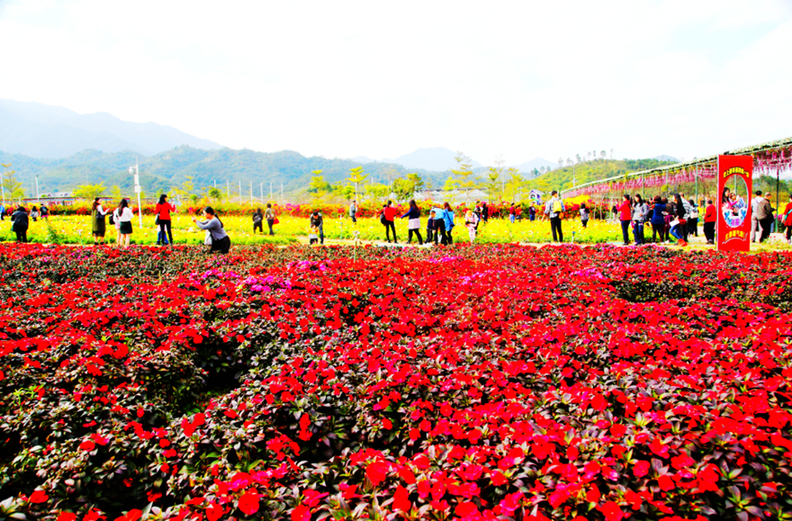 博罗百强县,惠州日报聚焦博罗县两会