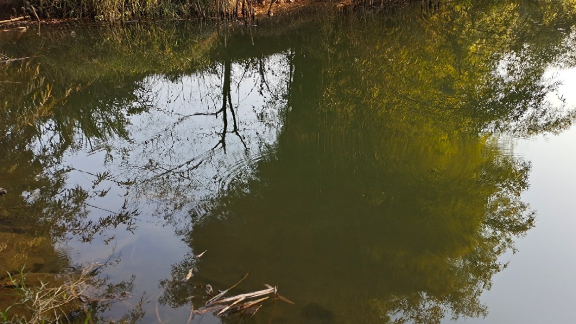 在野外怎么钓黑鱼,户外怎么钓黑鱼教程