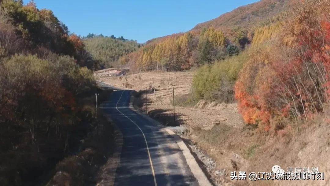 清原：打造互连互通“主骨架”构建高效快捷交通网络