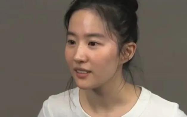 刘亦菲花木兰四大槽点,从花瓶到影后用演技迷翻众生