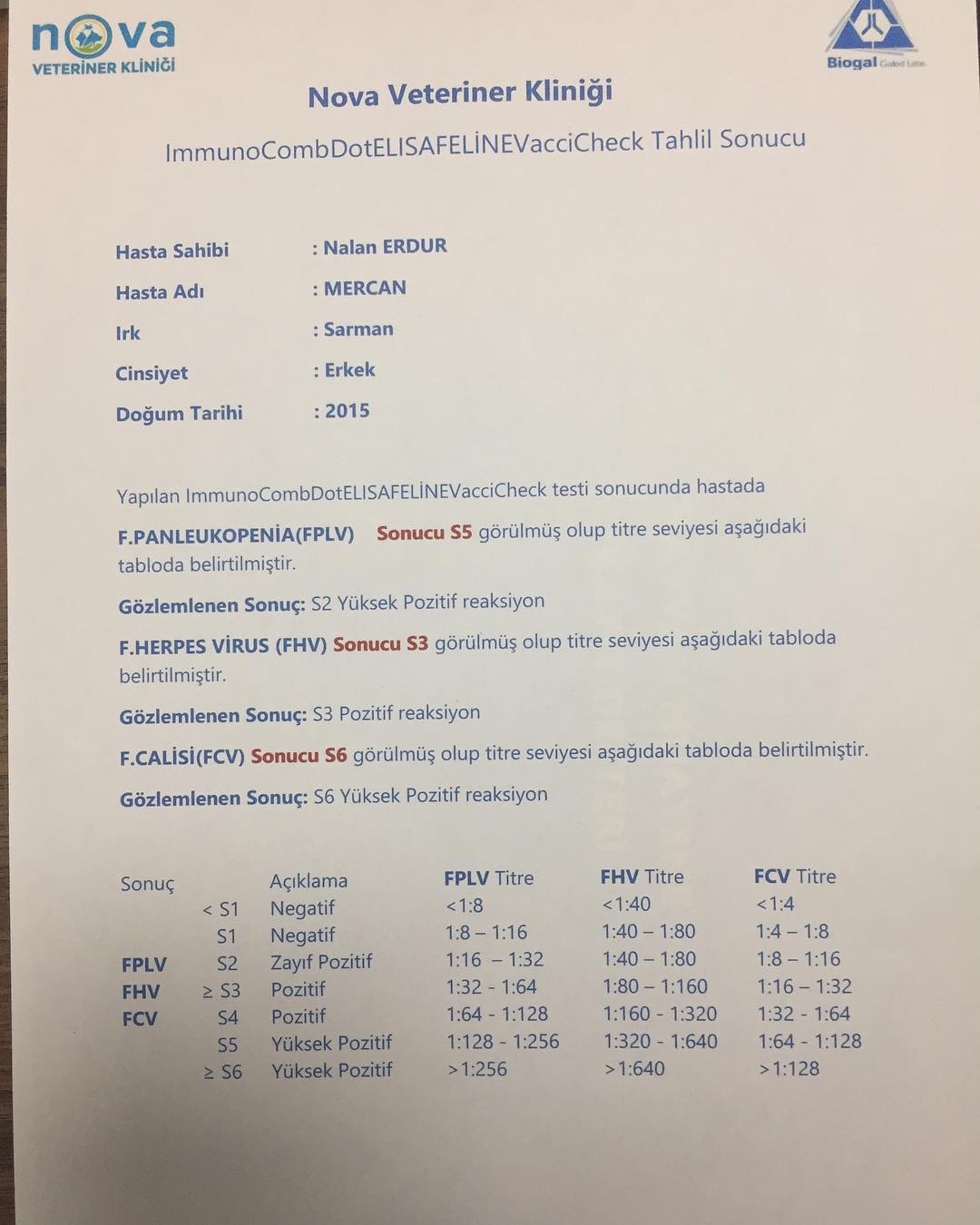 猫瘟热属于哪种病毒,猫瘟热什么症状