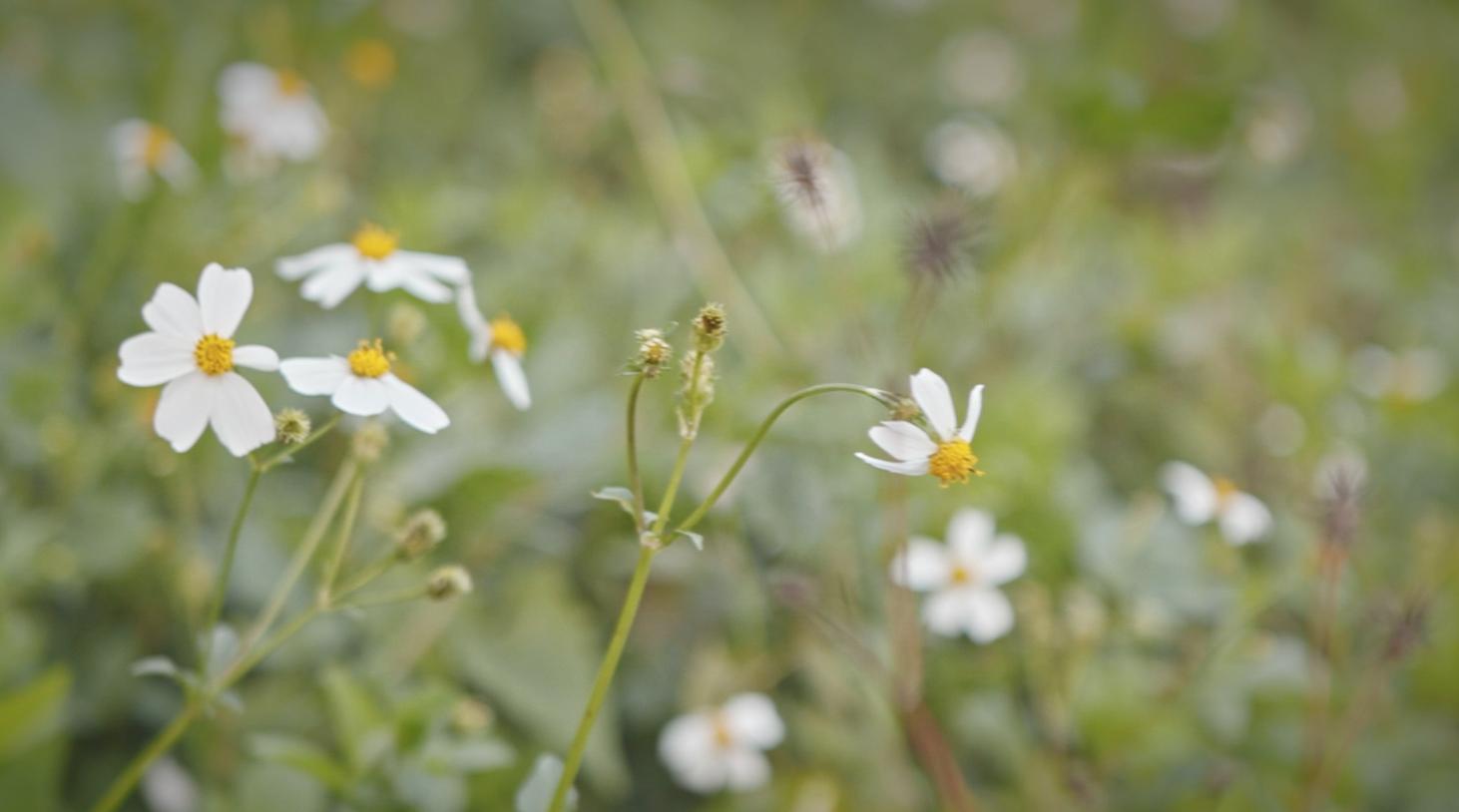 西藏旅拍设备,自驾旅拍设备