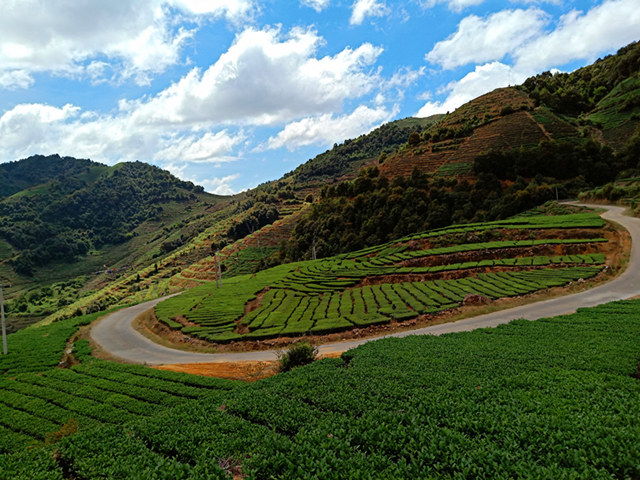 中国茶乡安溪铁观音发源地,安溪铁观音茶乡视频