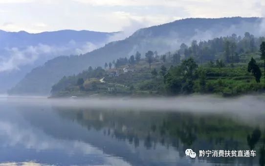 凤冈锌硒茶真的有锌硒吗,凤冈锌硒茶是田坝产的吗