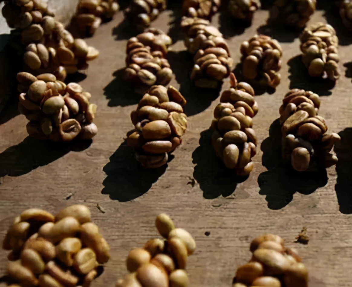 猫屎咖啡到底是什么,猫屎咖啡是怎样由来