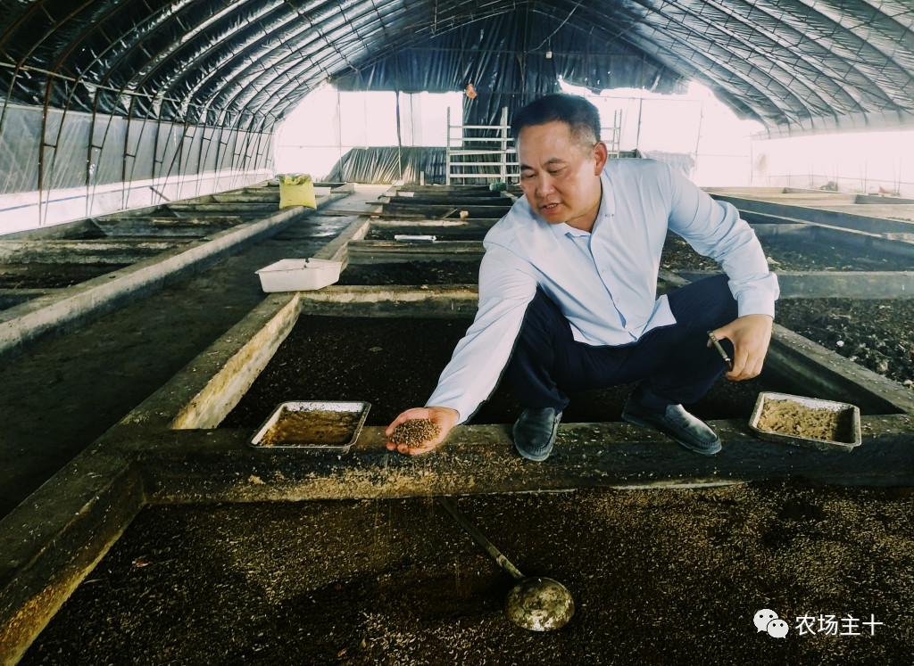 从沿街乞讨到身家亿万，“特养教父”32年的农业路堪称一部传奇史