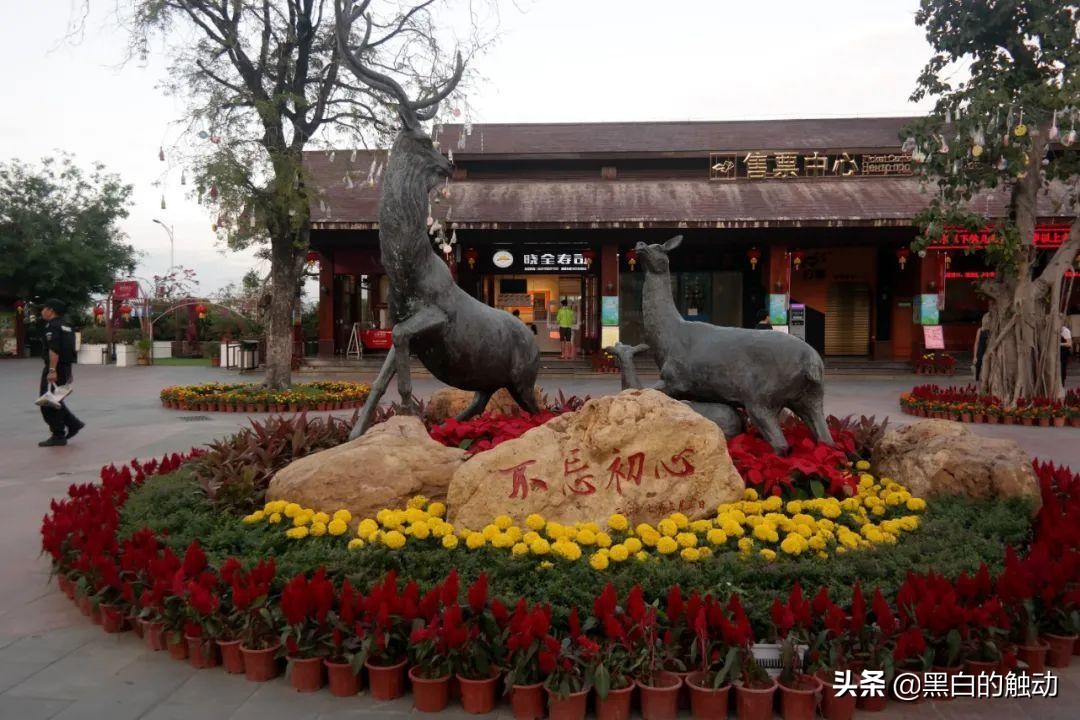 三亚必去的5大景点最新,三亚有哪些值得逛的地方