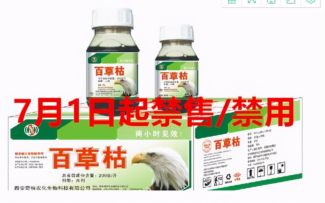 百草枯的毒性有多大？如果不慎误服一口，身体会发生怎样的变化？