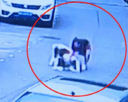 最新犬伤处置流程,关于犬伤处置