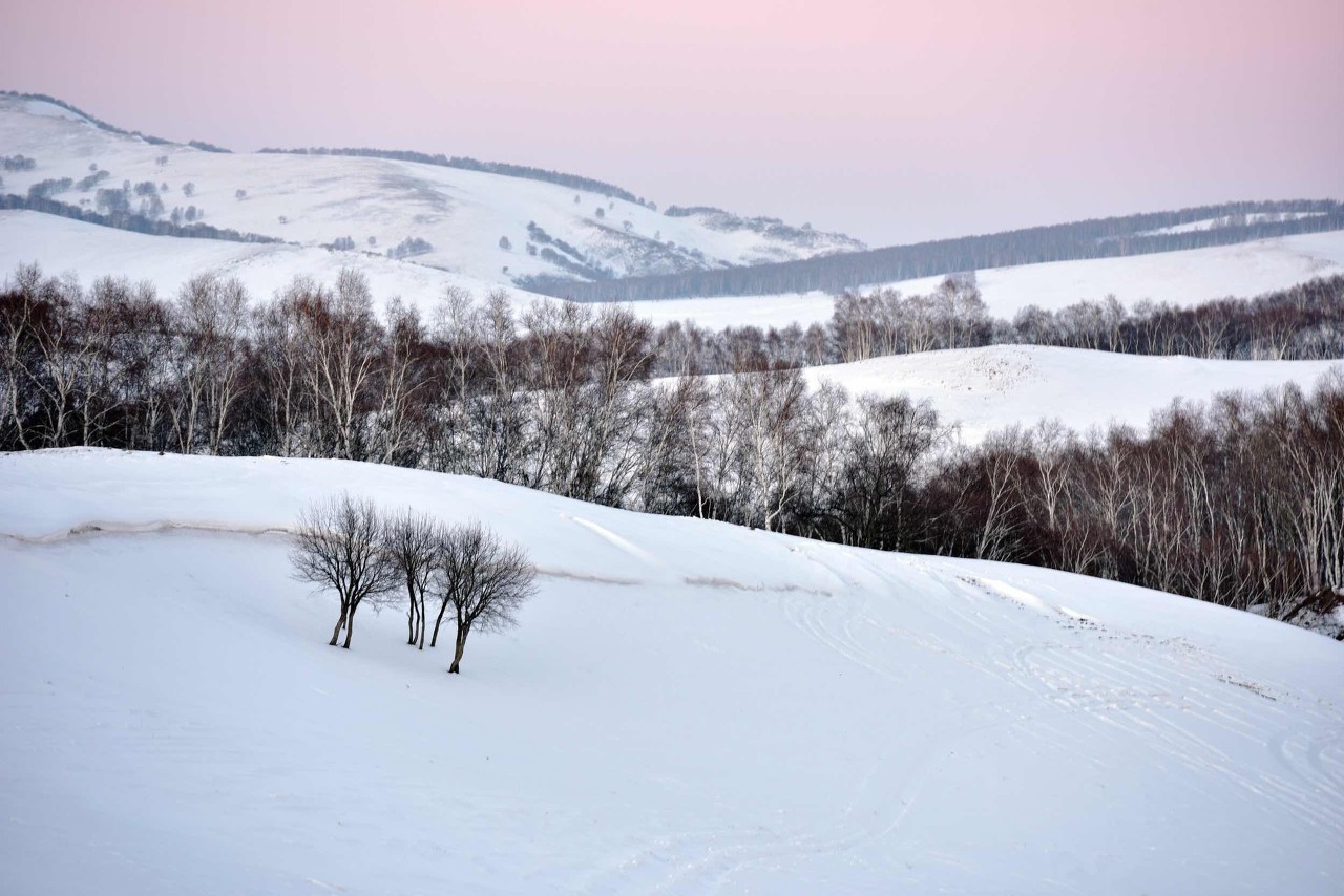 学习强国错题积累,学习强国整理题库