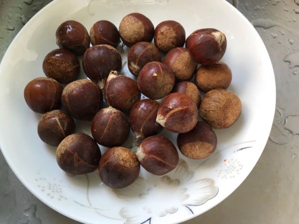 板栗用热水煮还是用冷水煮,板栗是用凉水煮还是用开水煮