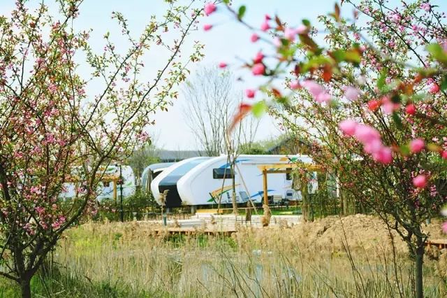 适合看星空露营的地方 (高山露营地绝美的星空)