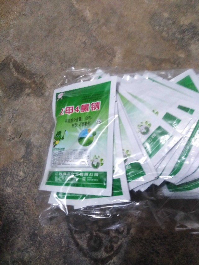 如何有效防止竹子根蔓延生长,庭院如何防止竹根蔓延