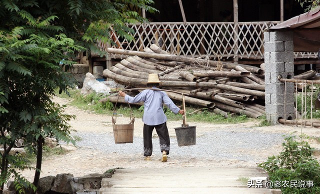 农村俗语：柿木案板，榆木梁，柳木扁担用万年，为啥？有道理吗？