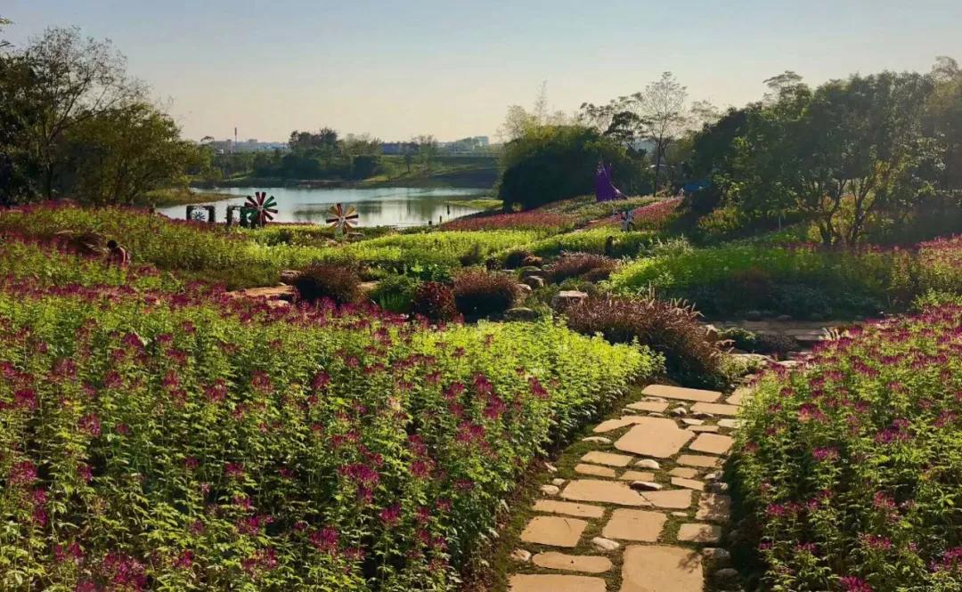 南宁园博园龙虎潭,南宁园博园花山叠瀑