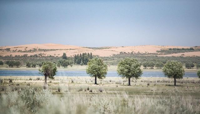 库布齐沙漠绿化防止再次沙化,荒漠化防治图