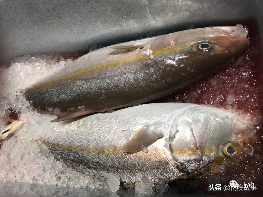 最好的海钓钓位选择,在海钓中如何找到原来的钓点