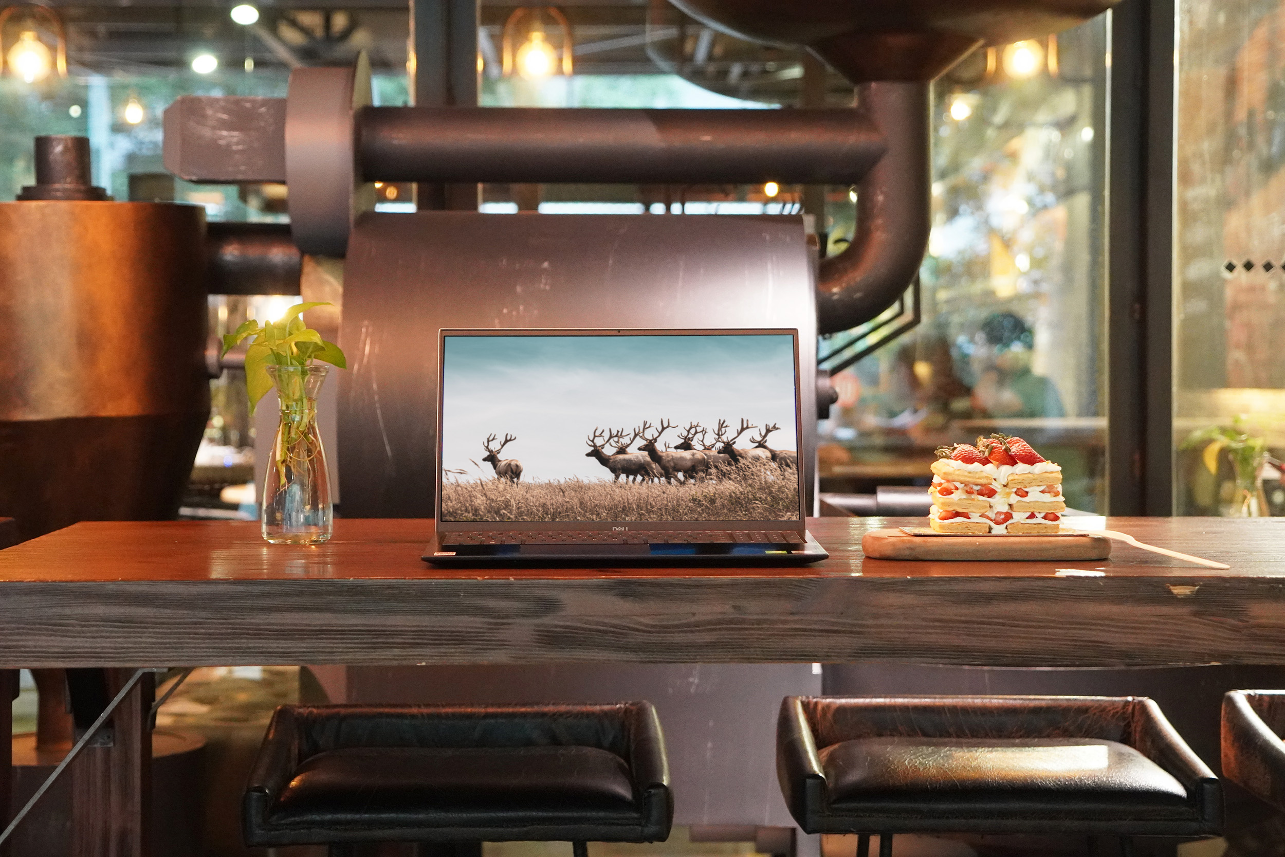 戴尔灵越5000fit14十代i5评测,戴尔灵越155510测评