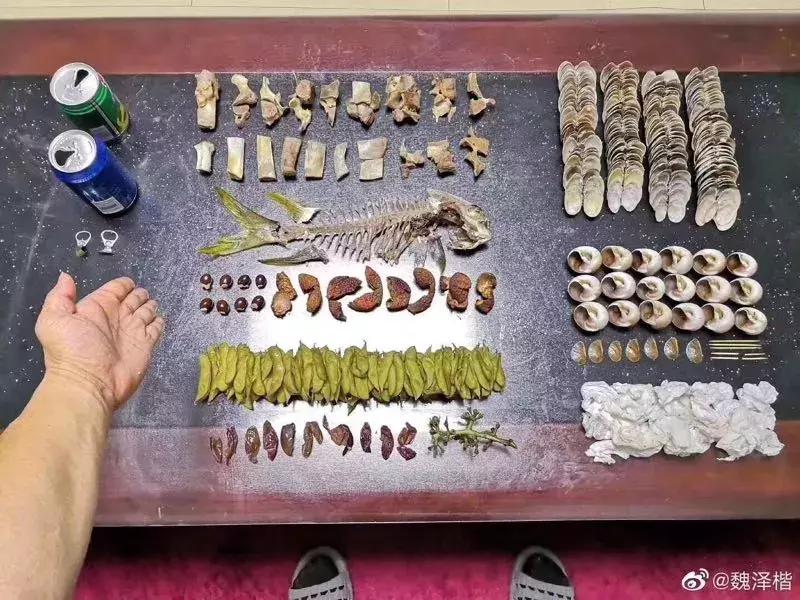 上海的垃圾分类做得怎么样了,上海垃圾分类真的做得好吗