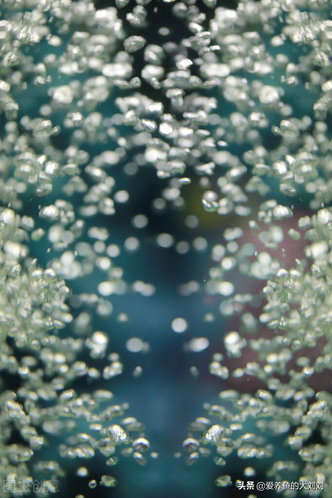 鱼缸氧气泵噪音大对鱼有影响吗,如何减少氧气泵震动声音