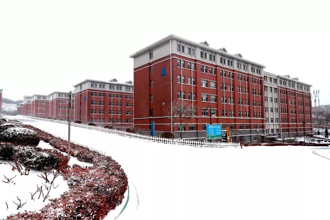 民办学校大连艺术学院全国排名,大连艺术学院辽宁排名