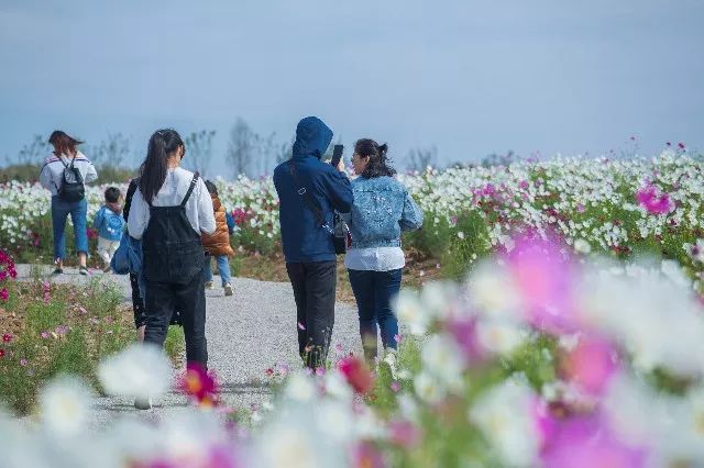 中国之美惊艳全世界,中国之美镜头视频