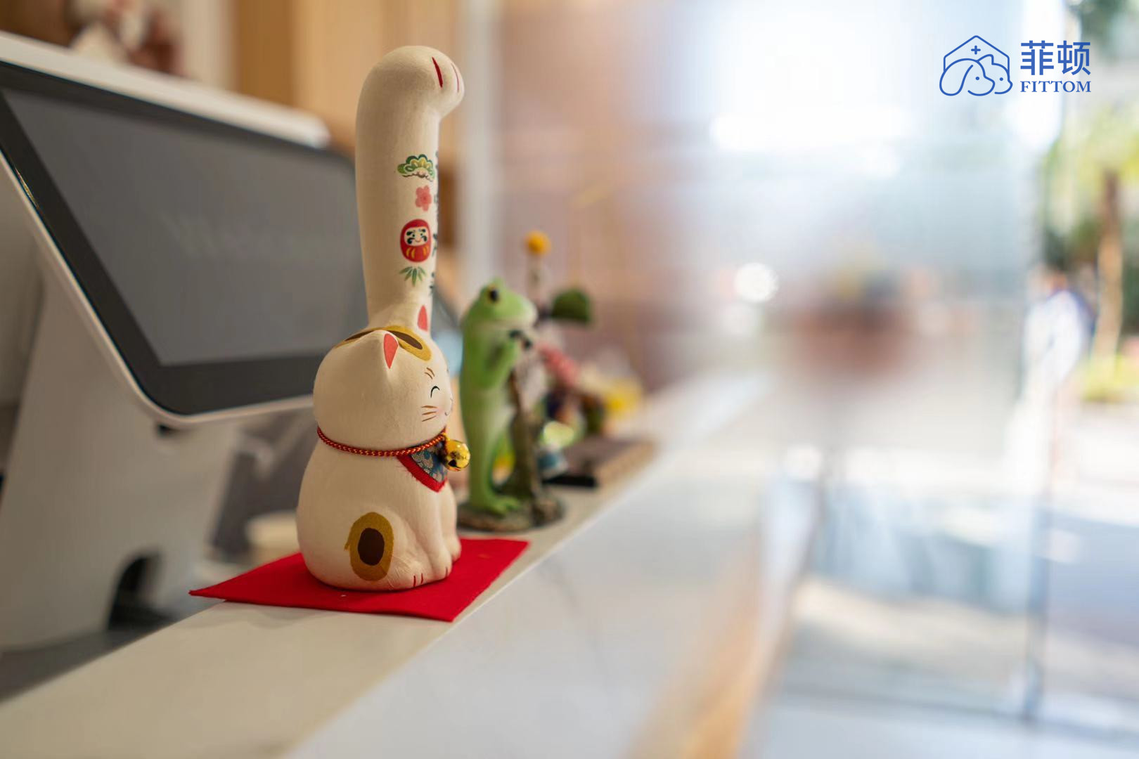 广州菲顿宠物线下康复靠谱吗,菲顿宠物