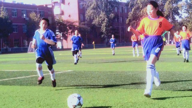 山东省政府表扬泰山俱乐部,山东校园足球建设