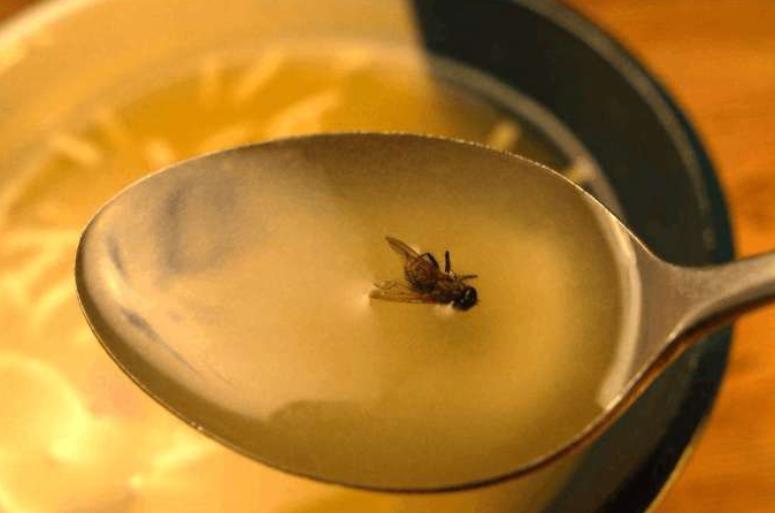 防虫防潮菜罩,保温菜罩家庭必备