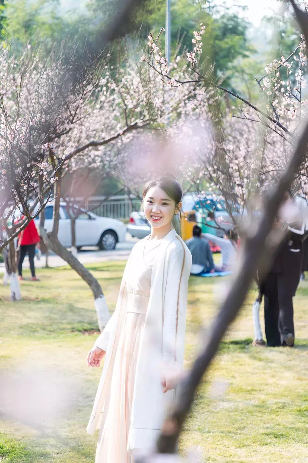 深圳隐秘风景,深圳粉色花海视频