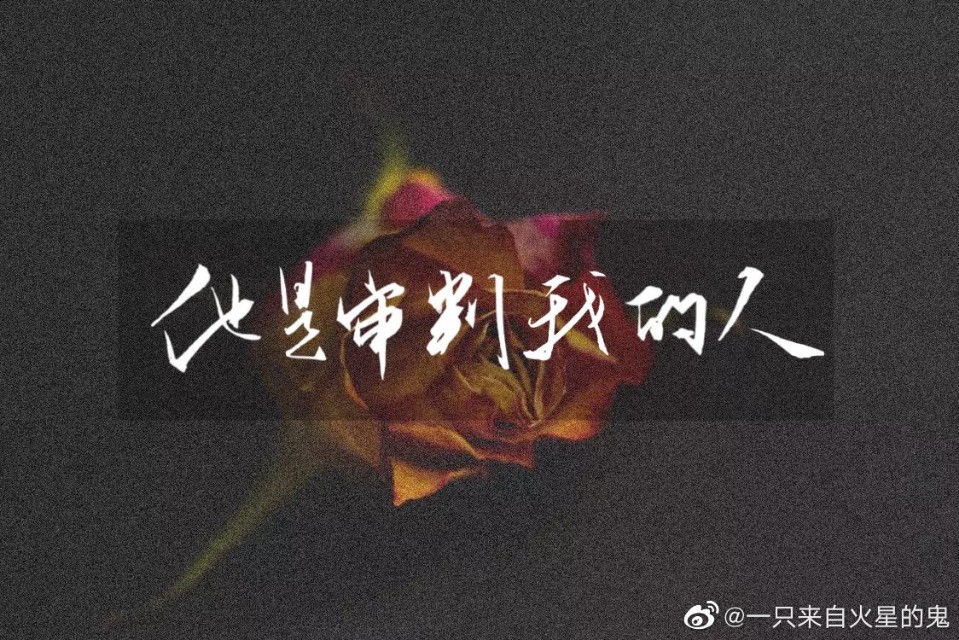 原耽推文|《小蘑菇》