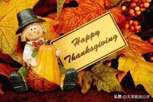 thanksgivingday祝福语,关于感恩节的短语用英文表达