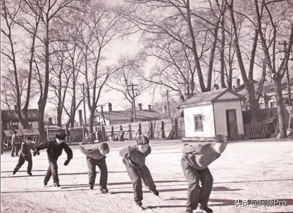 记忆中的哈尔滨-南岗体育场与“飞驰大坑”的故事