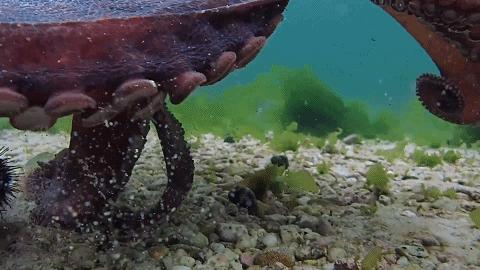 人鱼情未了在线阅读,人鱼情未了电视剧免费观看