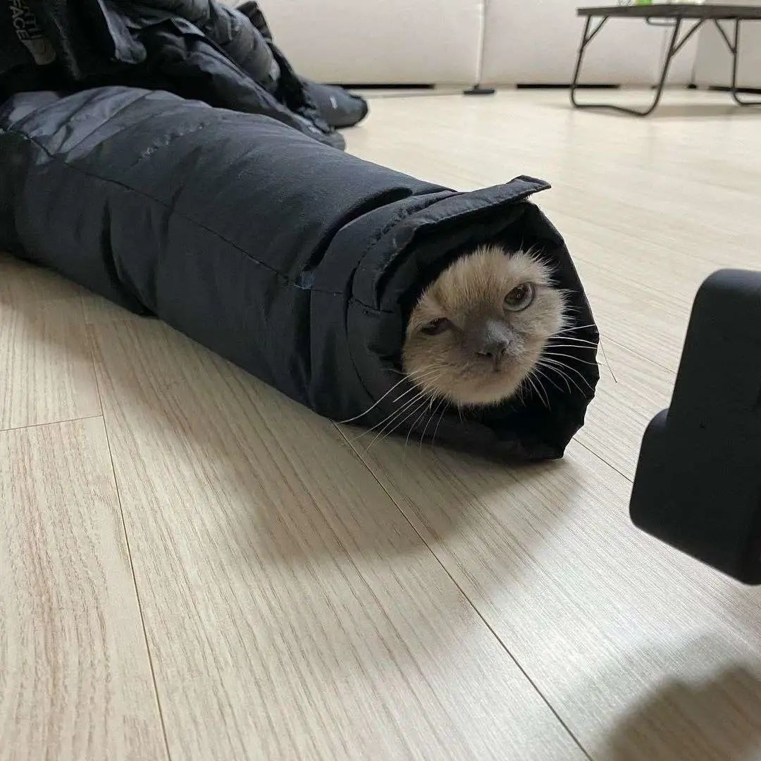 煤老板爆红完整版,煤老板ins