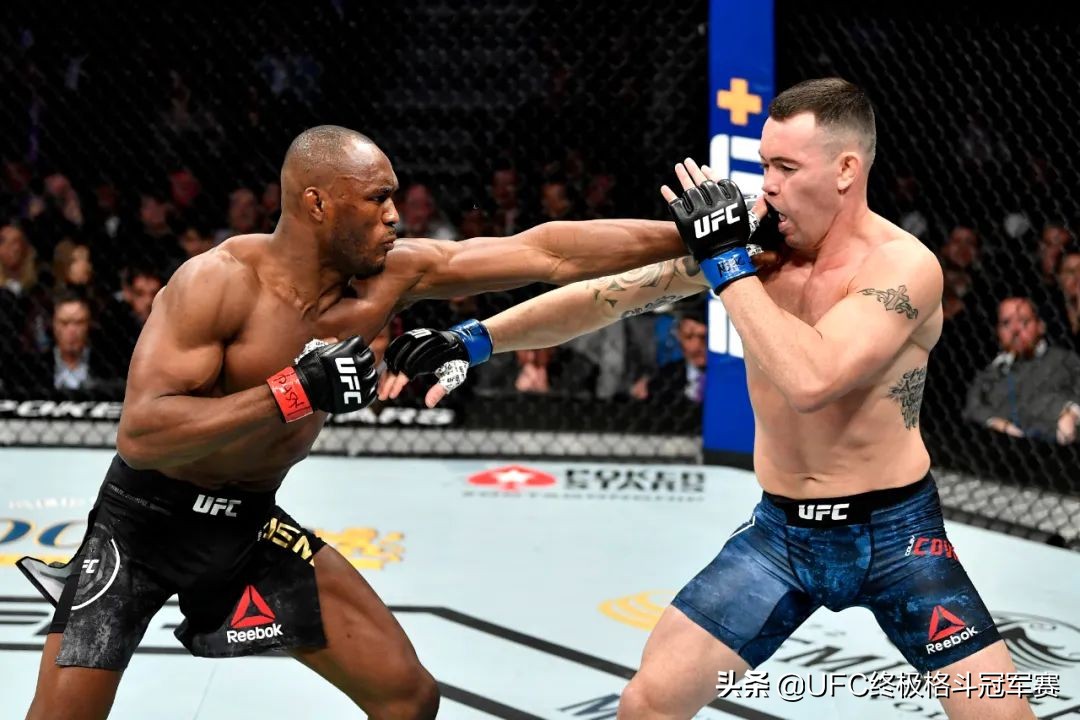 专题|魔王当道，狠人横行：次中量级局势简析