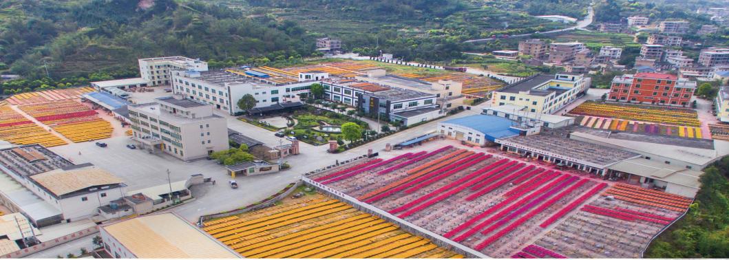 祝贺我镇在全县农产品品牌创意大赛中获佳绩