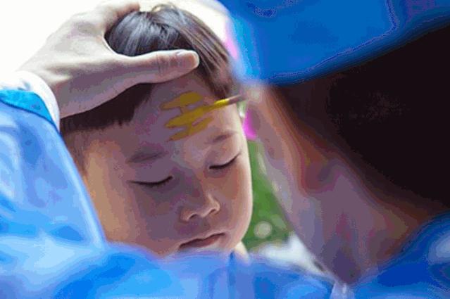 粽情端午免费,端午粽情团购